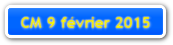 CM 9 fvrier 2015.pdf