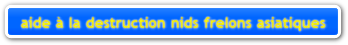 aide  la destruction nids frelons asiatiques